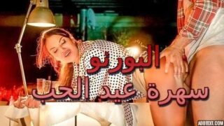 البورنو سهرة عيد الحب – سكس مترجم 2024